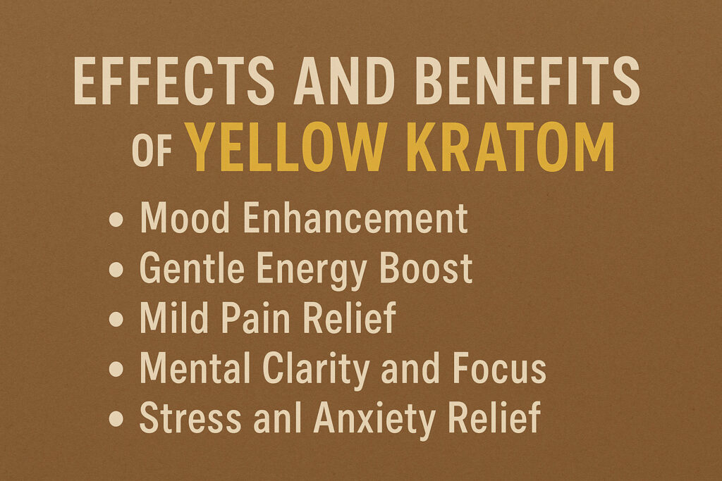 Effects and Benefits of Yellow Kratom Effects and Benefits of Yellow Kratom